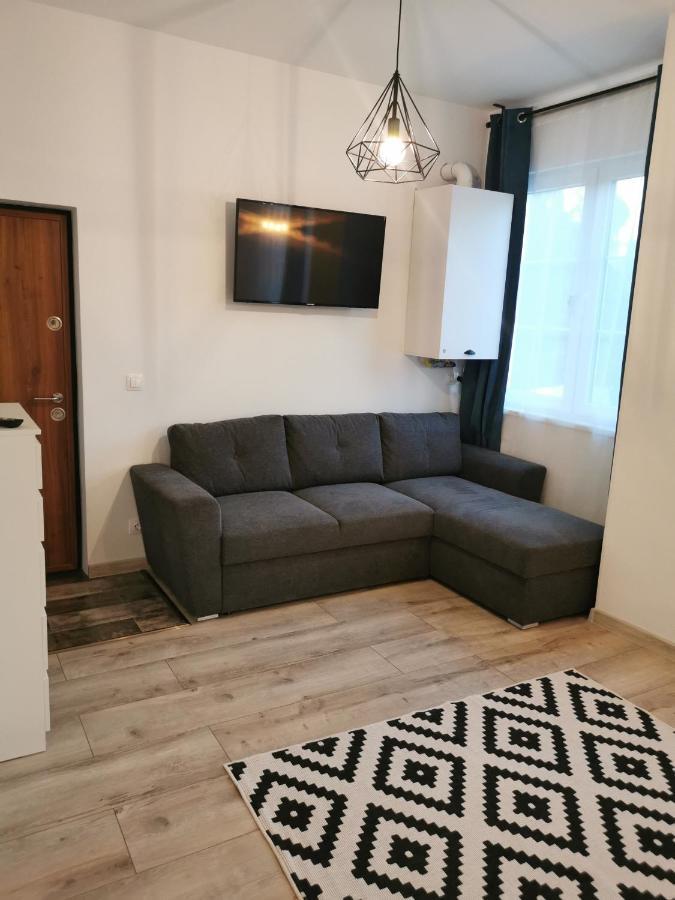 Central Park Studio Petroşani 외부 사진